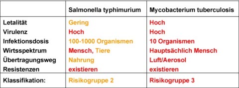 Risk assessment example 1