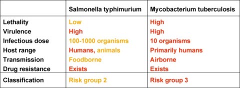 Risk assessment example 1