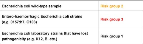 Risk Assessment Example 2