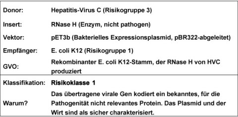 Risk Assessment Example 3